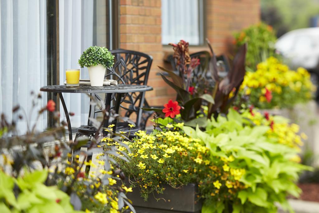 Comfort Inn South Shore Boucherville Dış mekan fotoğraf